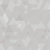 image-icon