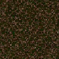 image-icon