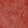 image-icon